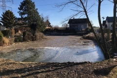 12_Schilfschnitt_Gemeinde