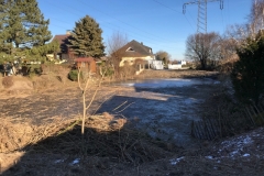 14_Schilfschnitt_Gemeinde