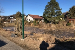 15_Schilfschnitt_Gemeinde