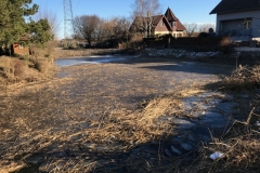 16_Schilfschnitt_Gemeinde